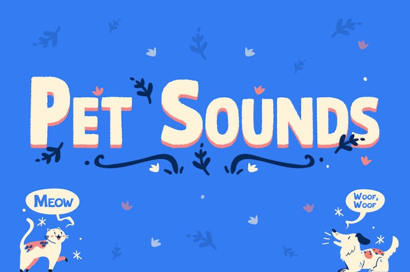 Pet Sounds Overview